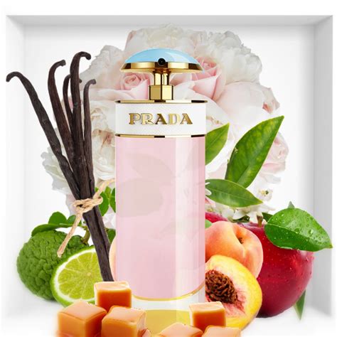 sugar pop pink pouch prada|Prada Candy Sugar Pop.